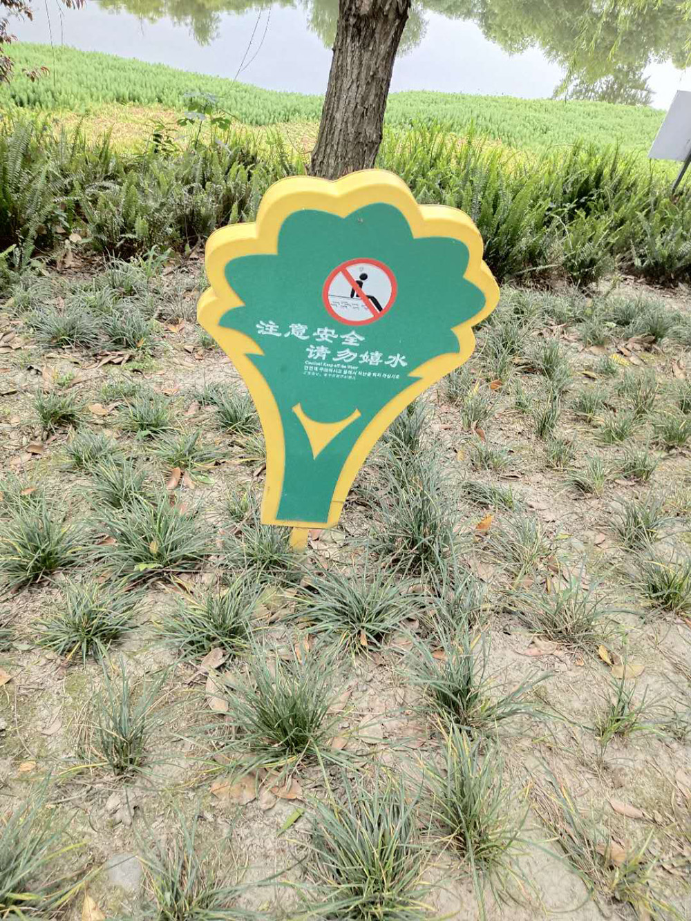 花草牌
