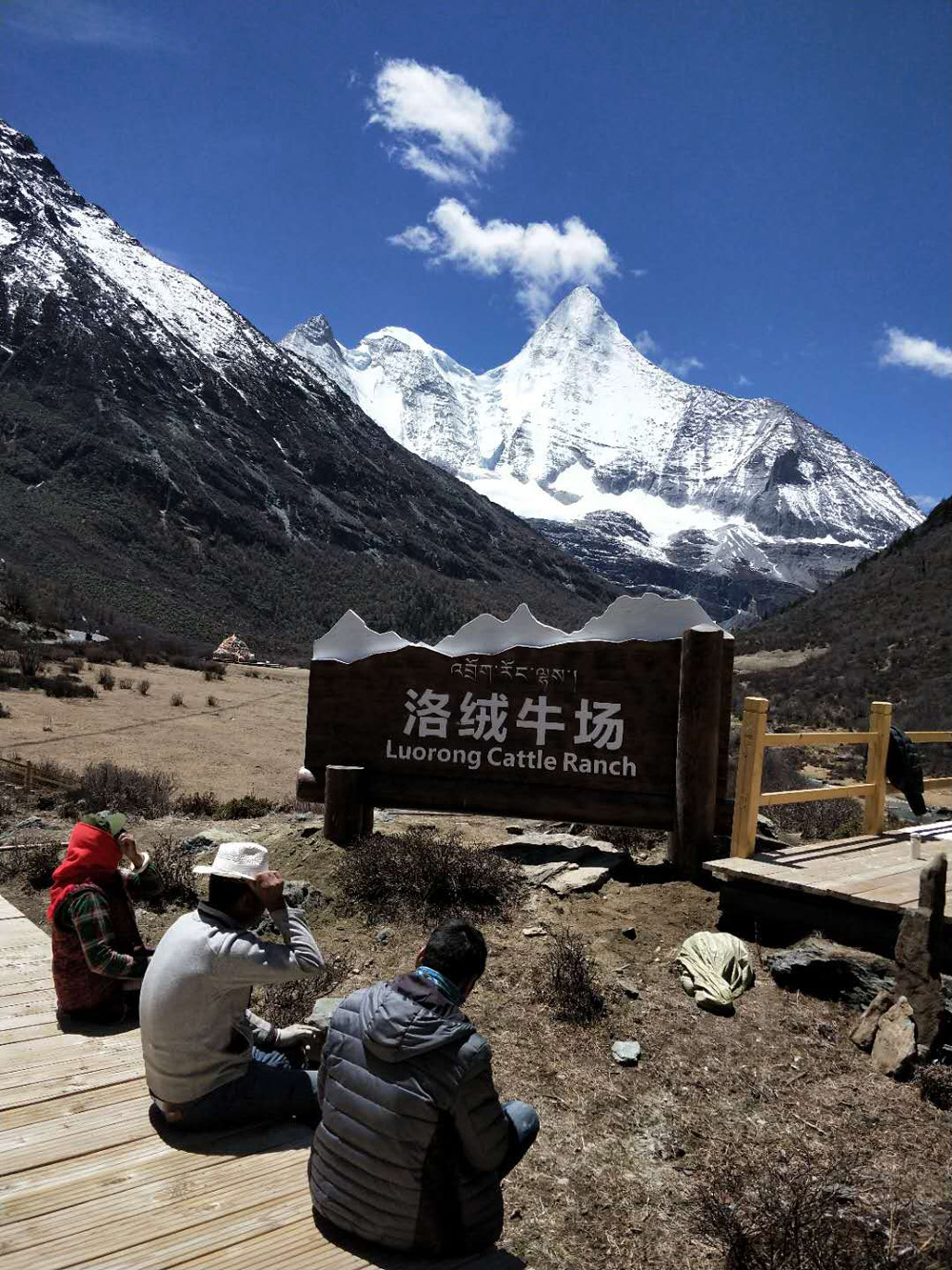 仿木标识