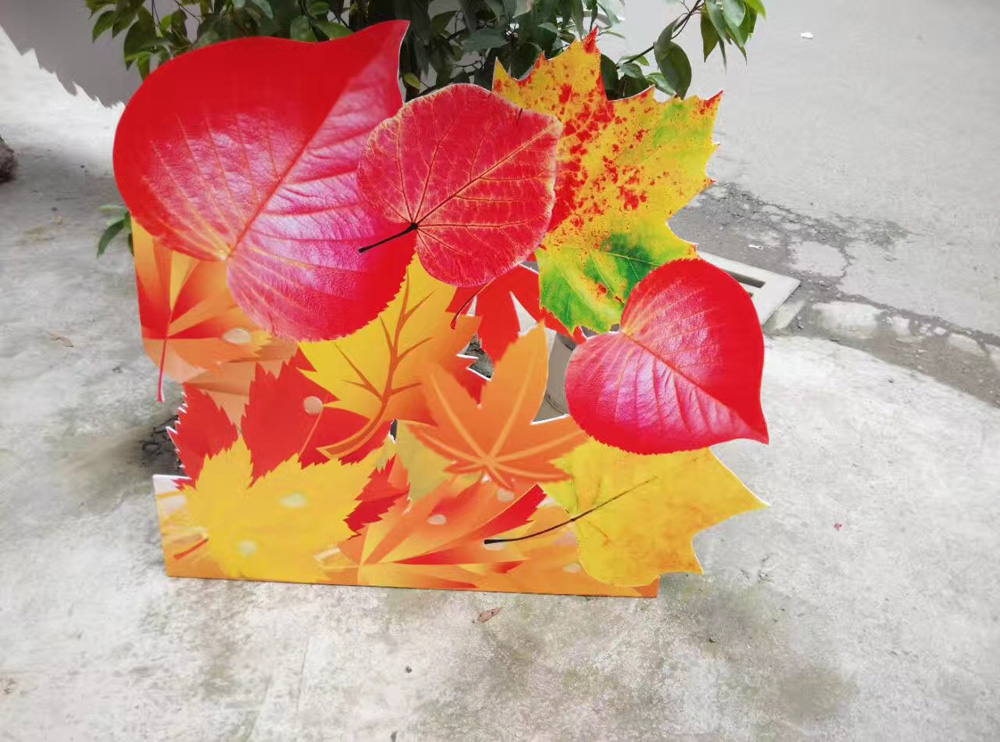 写真制作